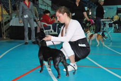 Stangehallen 25 April 2010