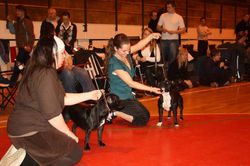 Nærbø_27_March_2010_-_005