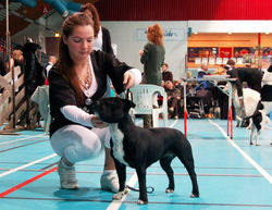 Stangehallen 24 April 2010 - 001