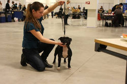 Hellerud 31 January 2010