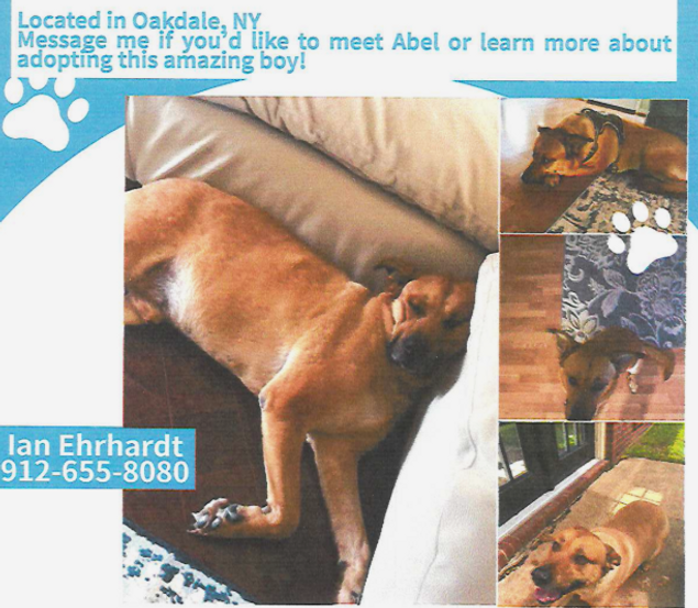 Abel Courtesy Post.png