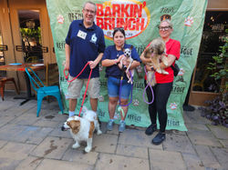 Andy, Caitlin, Bernadette at Barkin' Brunch