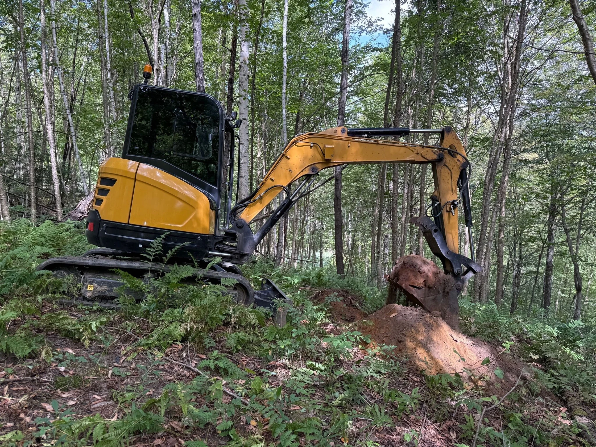 A compact yellow excavator working among ferns and trees on a wooded hillside.