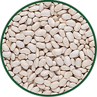 GE USP Section 06-Image-09_-.png