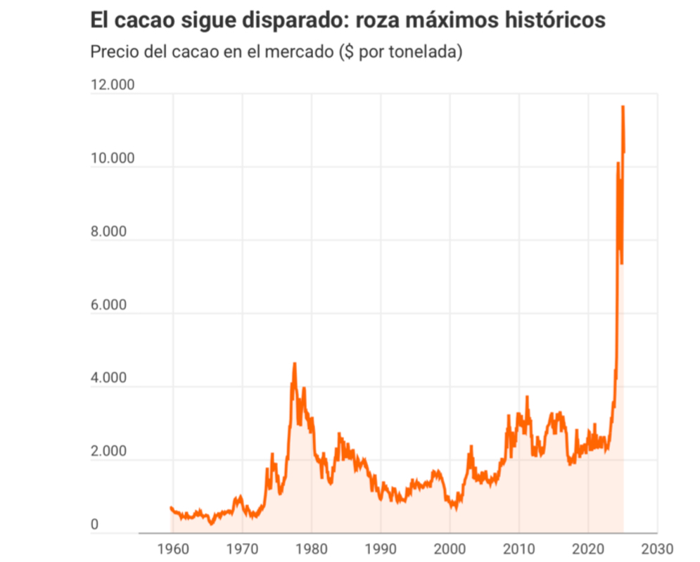 ¿Por qué el precio del cacao subió tanto en 2024–2025?