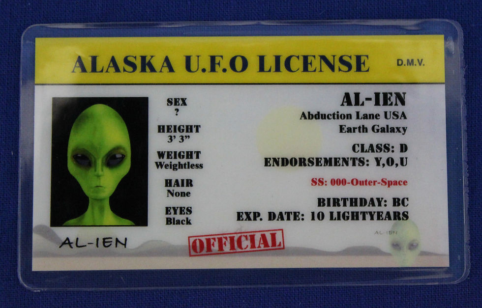 Alaska U.F.O. License
