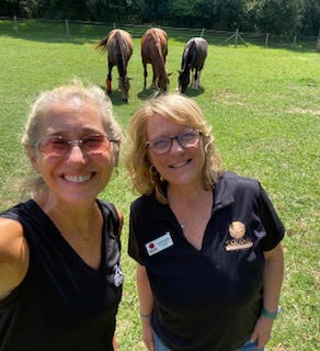 Podcasts from the Pasture-Equine Assisted Therapy: A magical place of hoof to heart connections.