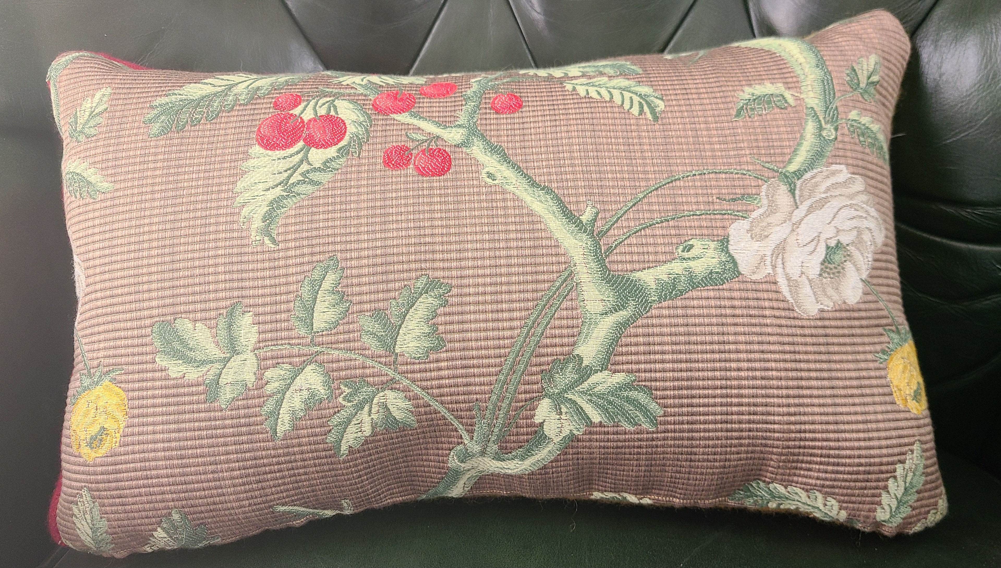 Vines and raspberries