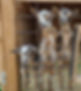 20200822_183100_edited.jpg