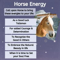 Horse Energy.png