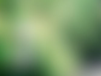 Reigniting the Dream: From Deflated Balloons to Inspired Teaching