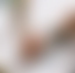 Adult coloring an intricate illustration as a calming practice for nervous system regulation and emotional grounding