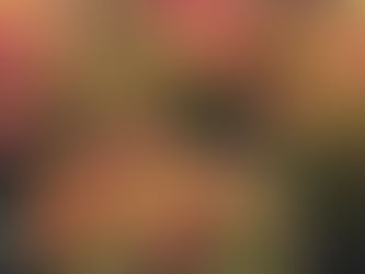 Mindfulness with Indrani Mukherjee