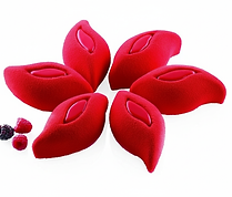 pétales détourés.png