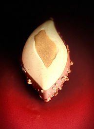 noisette_edited_edited.jpg