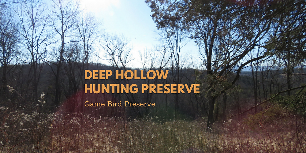 Deep Hollow Hunting preserve (2).png