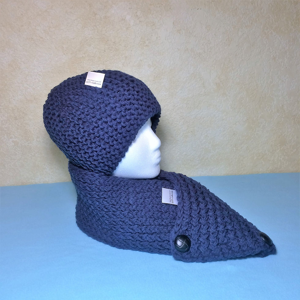 Blue beanie and neck cowl