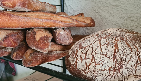 Vacances nature et campagne - Camping du Bois Coutal en Corrèze, services accueil, pains et viennoiseries, petit déjeuners