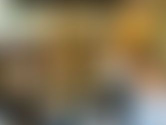 Farewell party Ms. SHIBATA