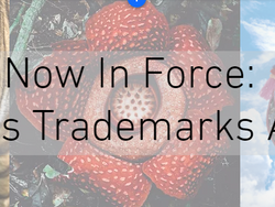 Now In Force: Malaysia's Trademarks Act 2019