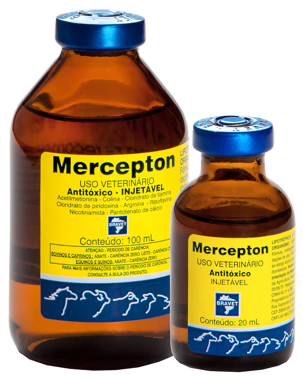 Mercepton Injetável 20 ml e 100 ml