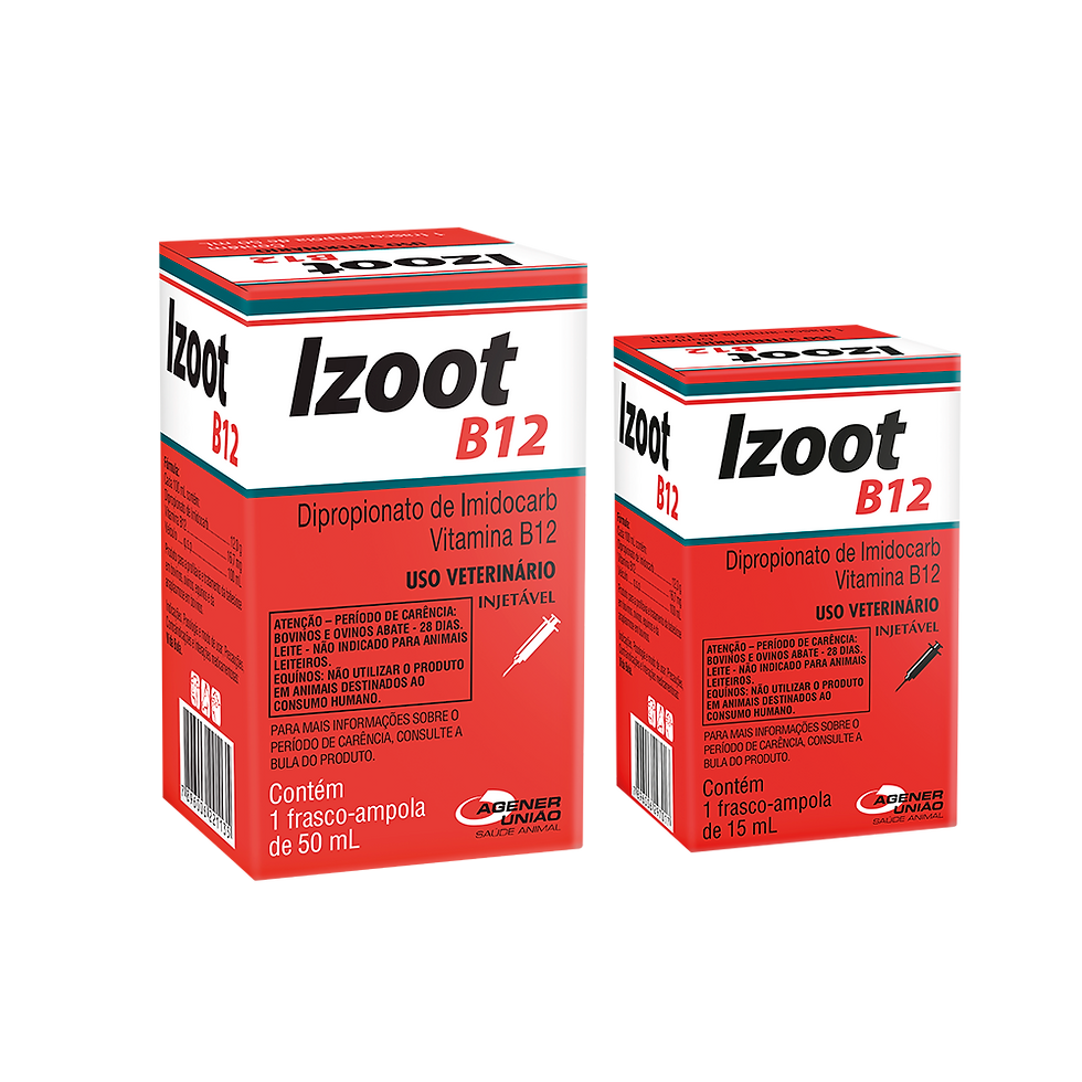 Izoot B12 Agener União 15 ml