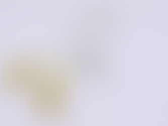 6月出展のお知らせ