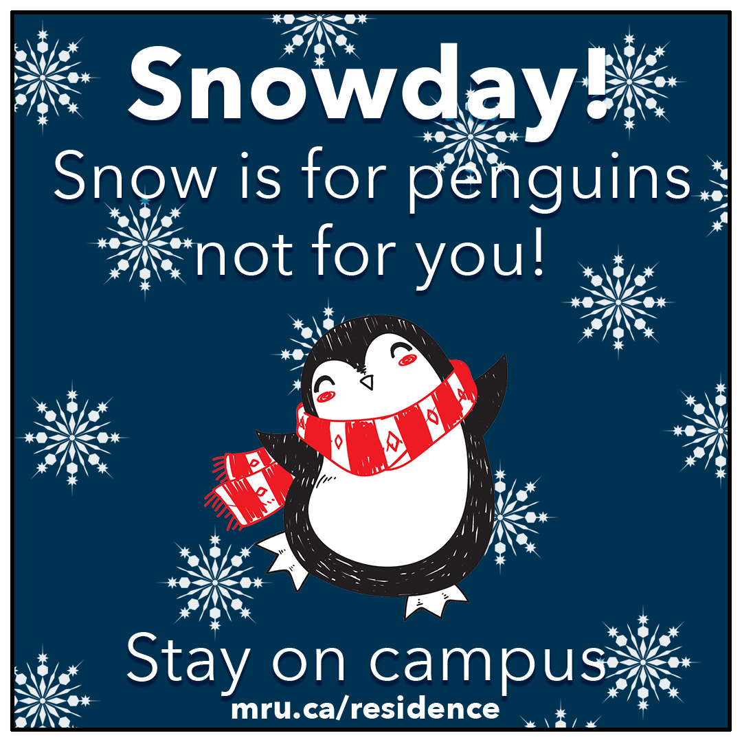 Penguin-(1080px).gif