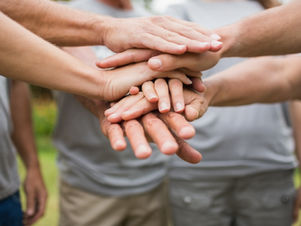 Construire des interventions efficaces : Les fondamentaux de l'approche systémique et familiale