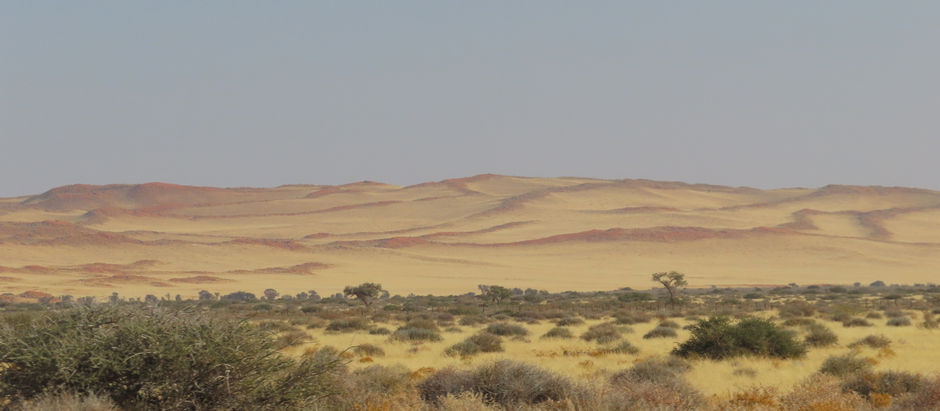 Solitaire, Sesriem and Sossusvlei