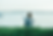 Thumbnail: CREWNECK