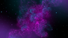 2 (1).png