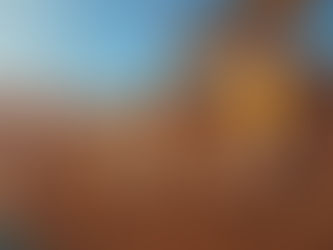 ESTRÉIA! Old Market Simulator