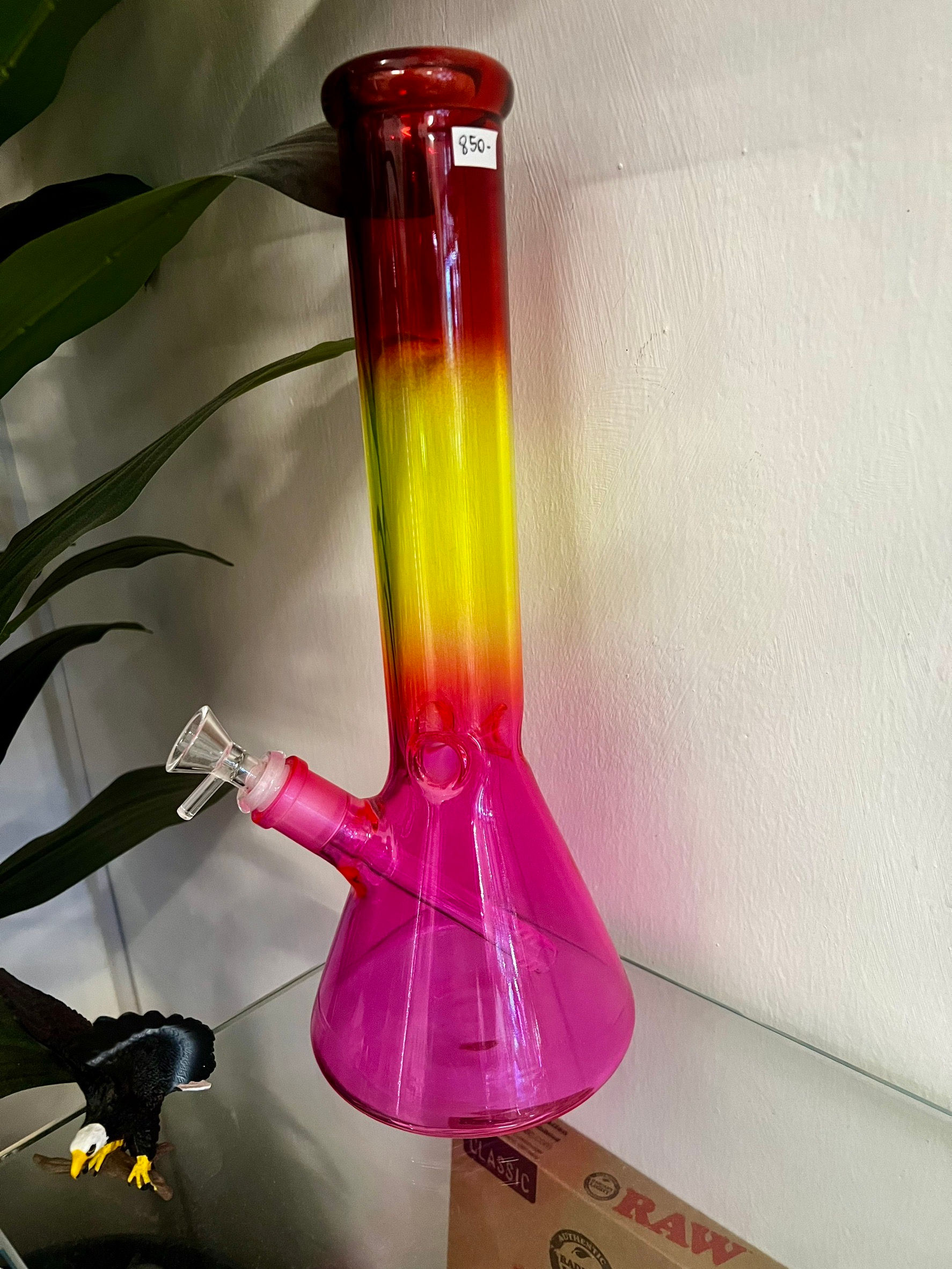 ความโปร่งใส - แดง เหลือง ชมพู