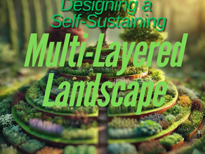 Edible Forest Gardens: Designing a Self-Sustaining, Multi-Layered Landscape