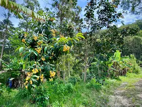 The Importance of Adopting Eco-Friendly Farming Practices