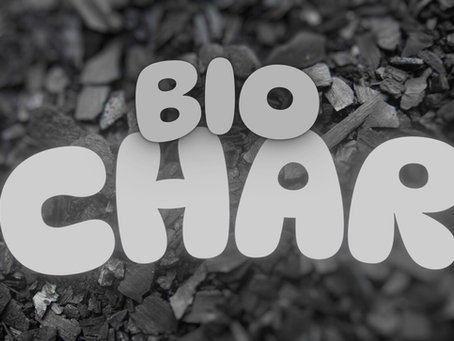 Biochar: The Black Gold Revolutionising Permaculture Soil