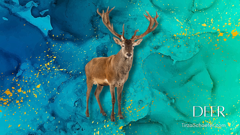 Deer (Stag) YT.png