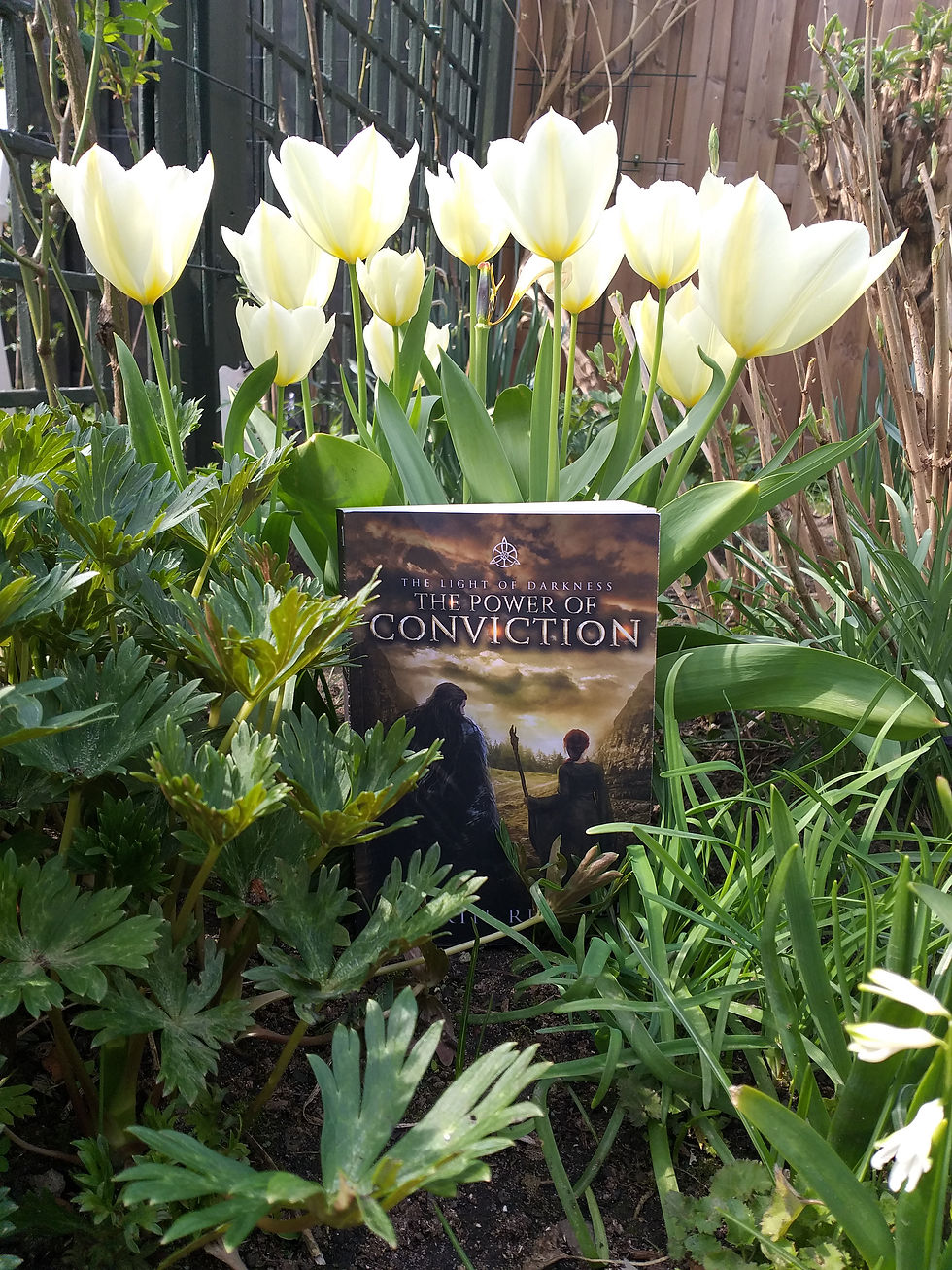 The Power of Conviction, Book 1 of The Light of Darkness series by Catrin Russell
