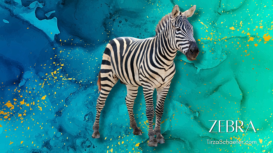 Zebra.png