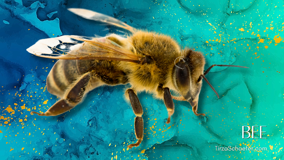 Bee YT.png