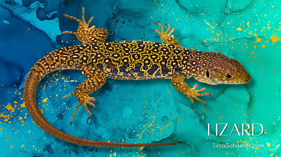 Lizard YT.png