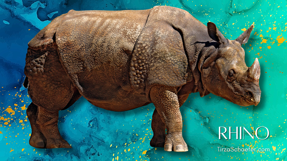 Rhino YT.png