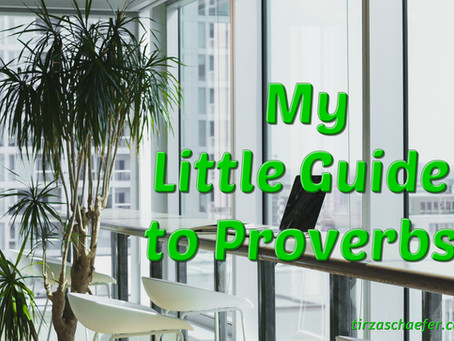 Thoughts Inspiration Education:
My Little Guide to Proverbs