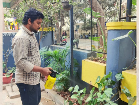 Preparation to welcome children - The TALC way :)