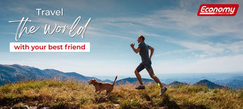 Trips are more fun with our four-legged friends!