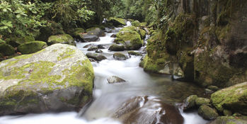 Conocé Costa Rica: Reserva Natural Cloudbridge