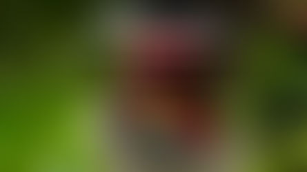 ¿Querés escaparte el fin de semana? Descubrí rincones de Costa Rica en un día con Economy