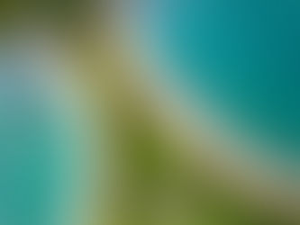 ¡Te regalamos un día de renta para celebrar los Parques Nacionales!