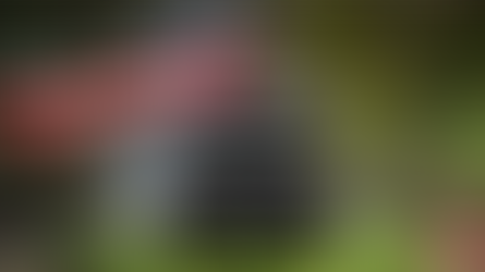 ¡Aprovechá nuestras tarifas especiales!